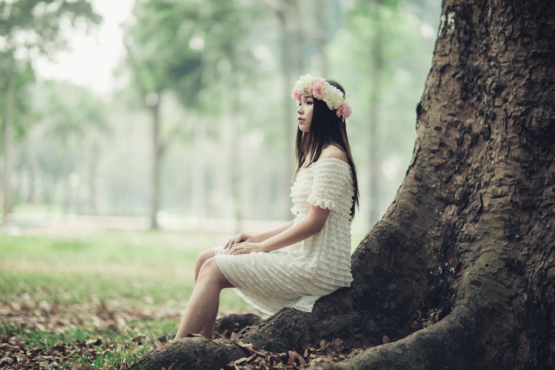 無料 木の根に座っている女性 写真素材