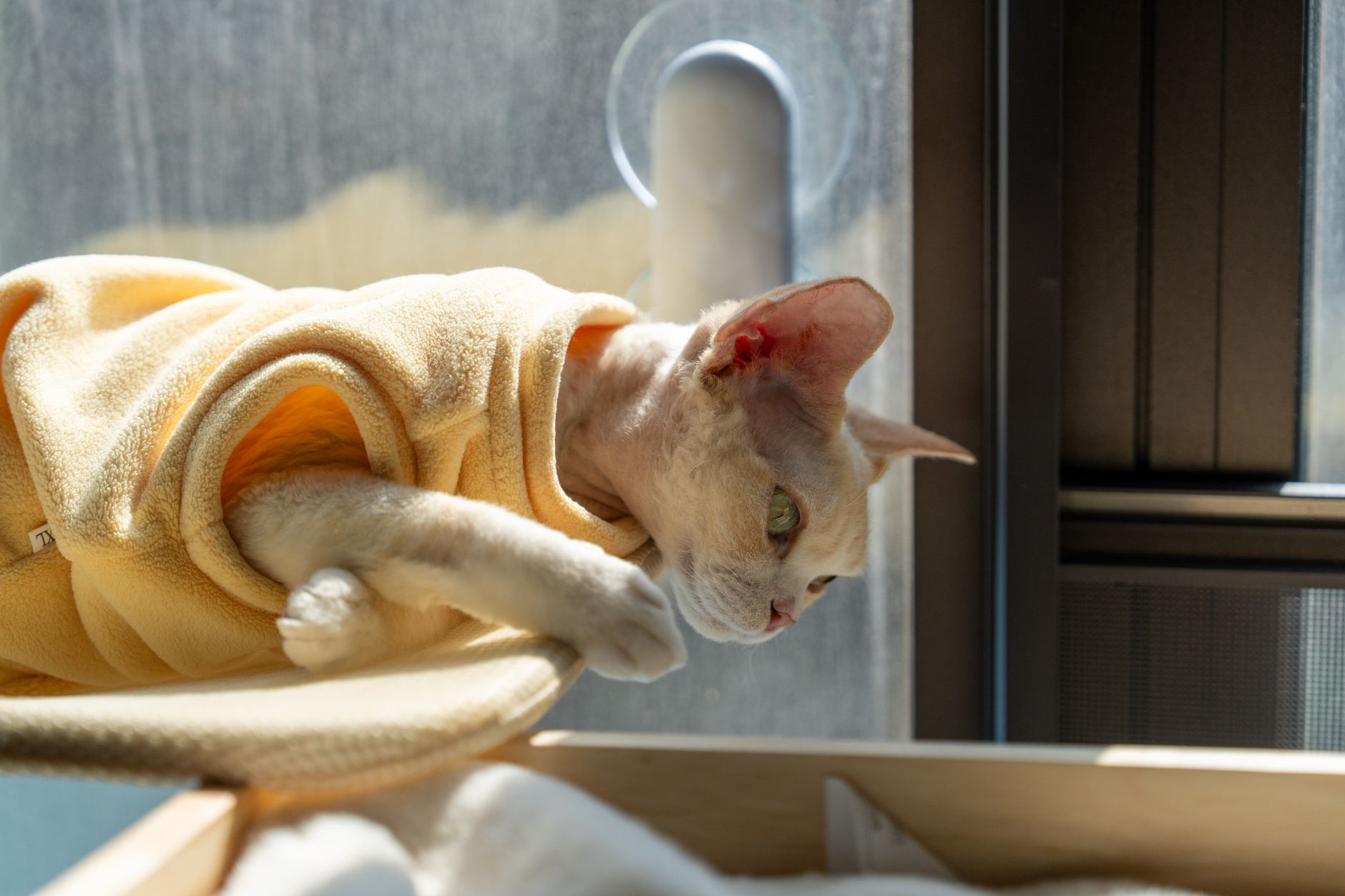 Partner 6