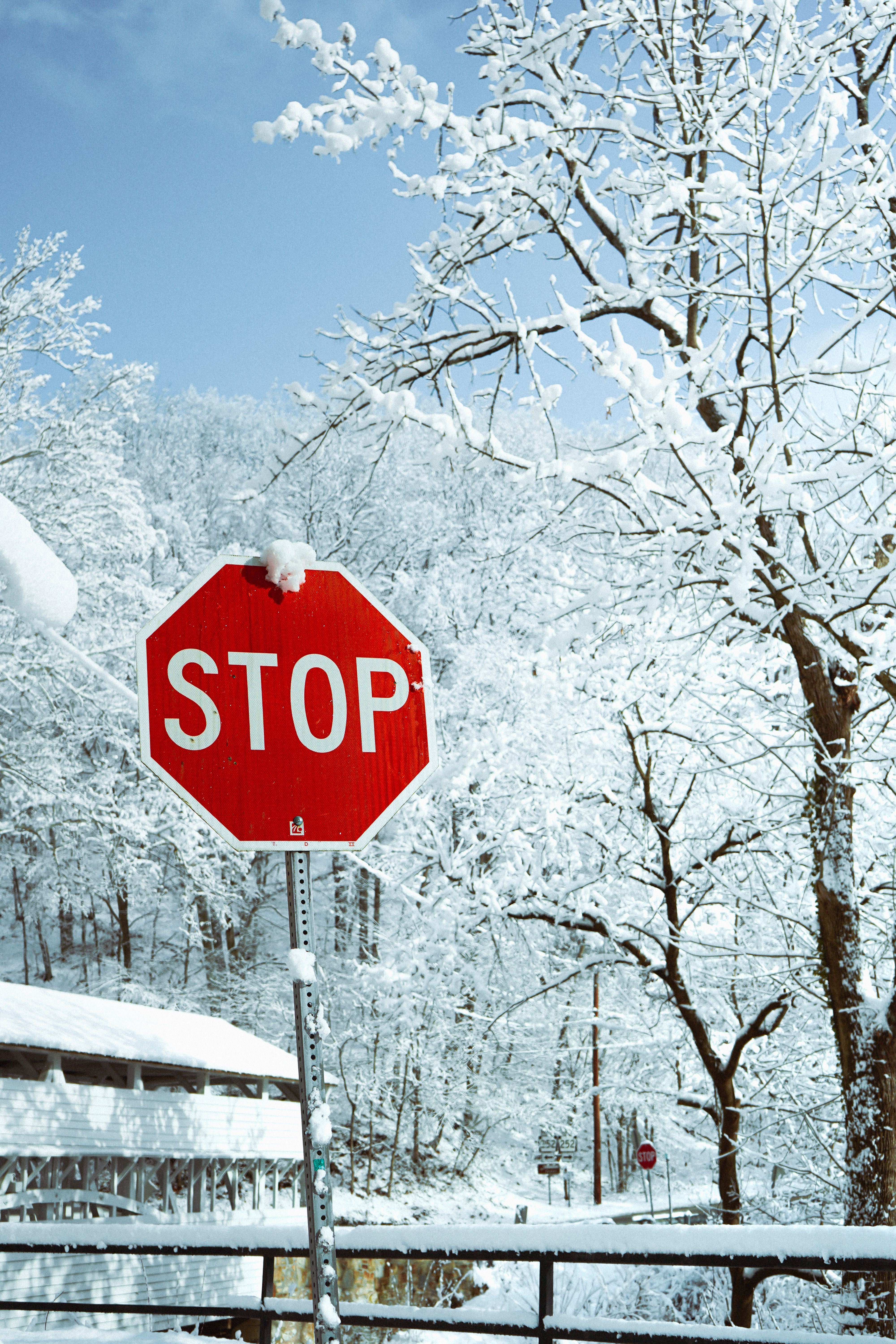 Snow-Covered Stop Sign in Winter Landscape · Free Stock Photo