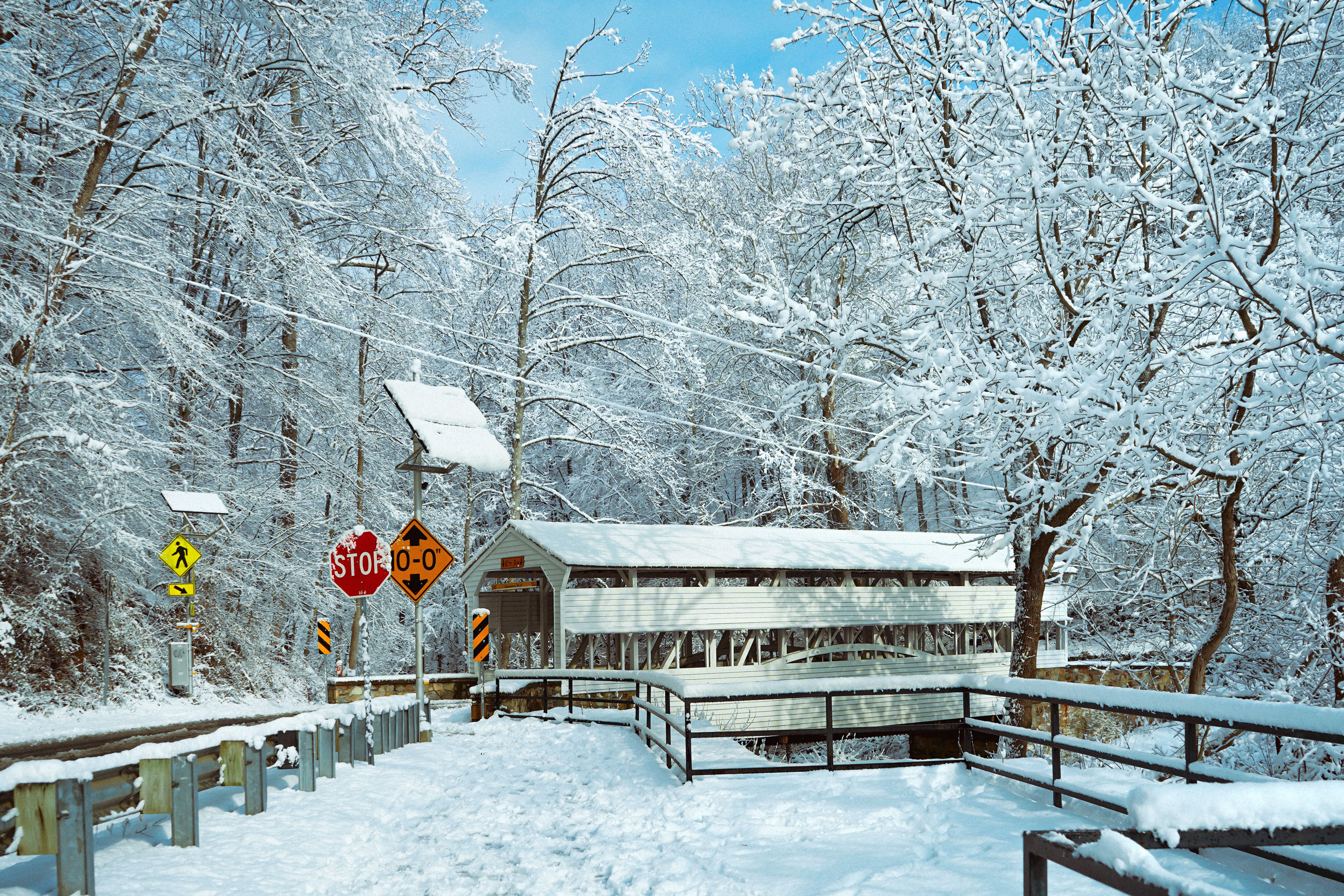 Scenic Winter Covered Bridge with Snowy Trees · Free Stock Photo