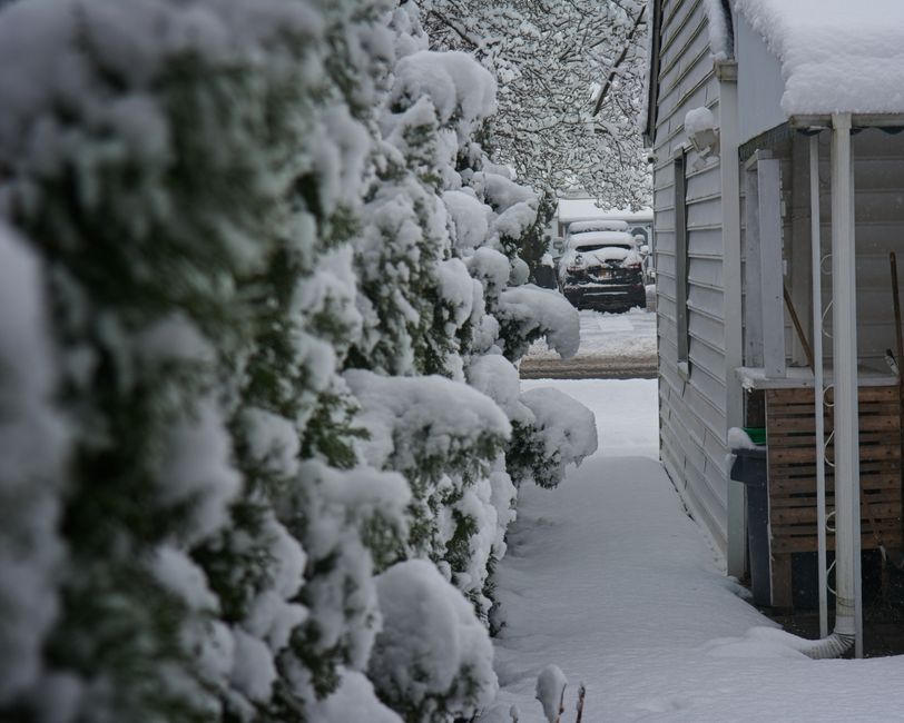 A narrow alleyway covered in snow, capturing the calm of a New York winter scene.