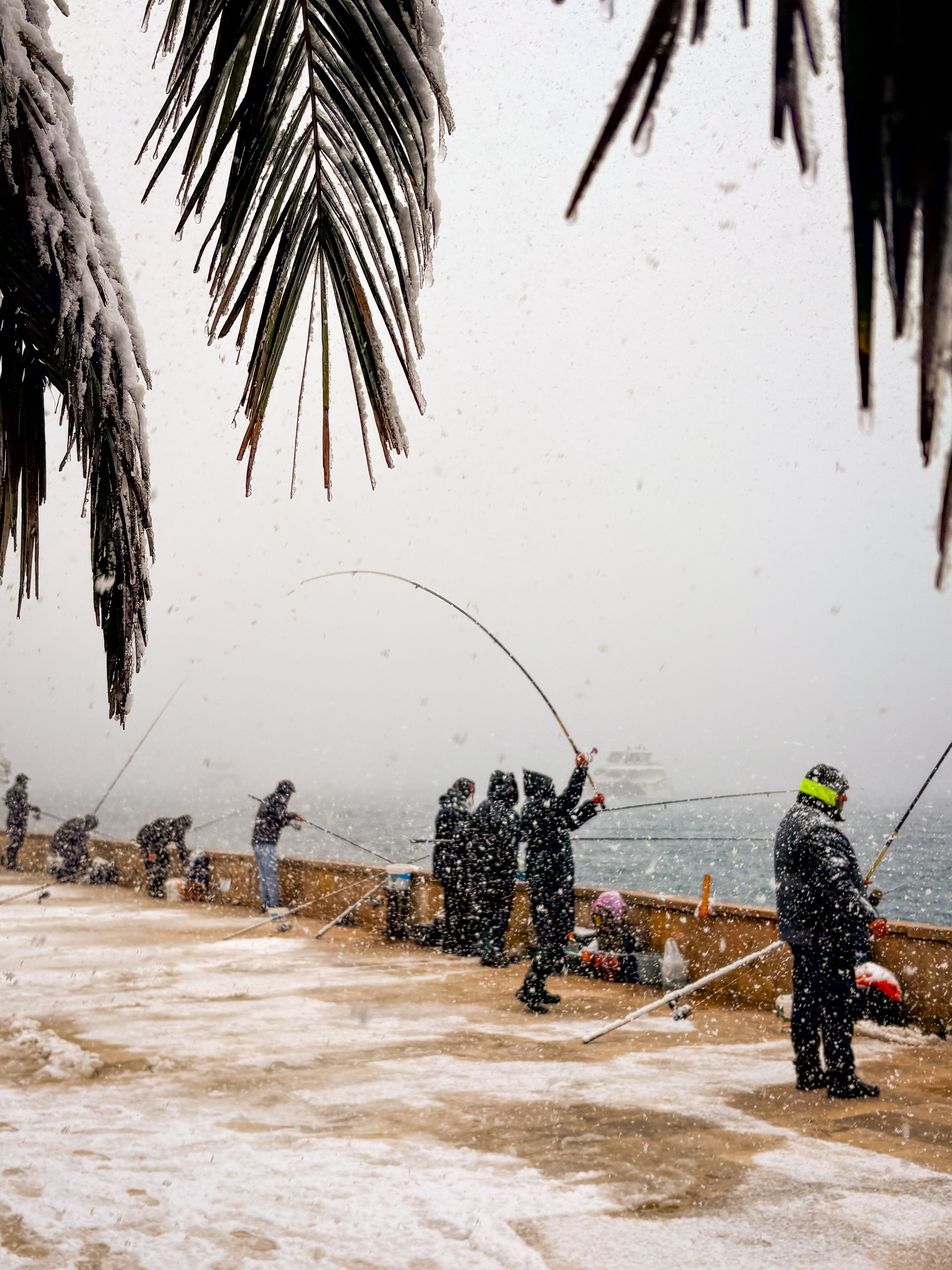 Winter Fishing by a Snowy Waterfront · Free Stock Photo