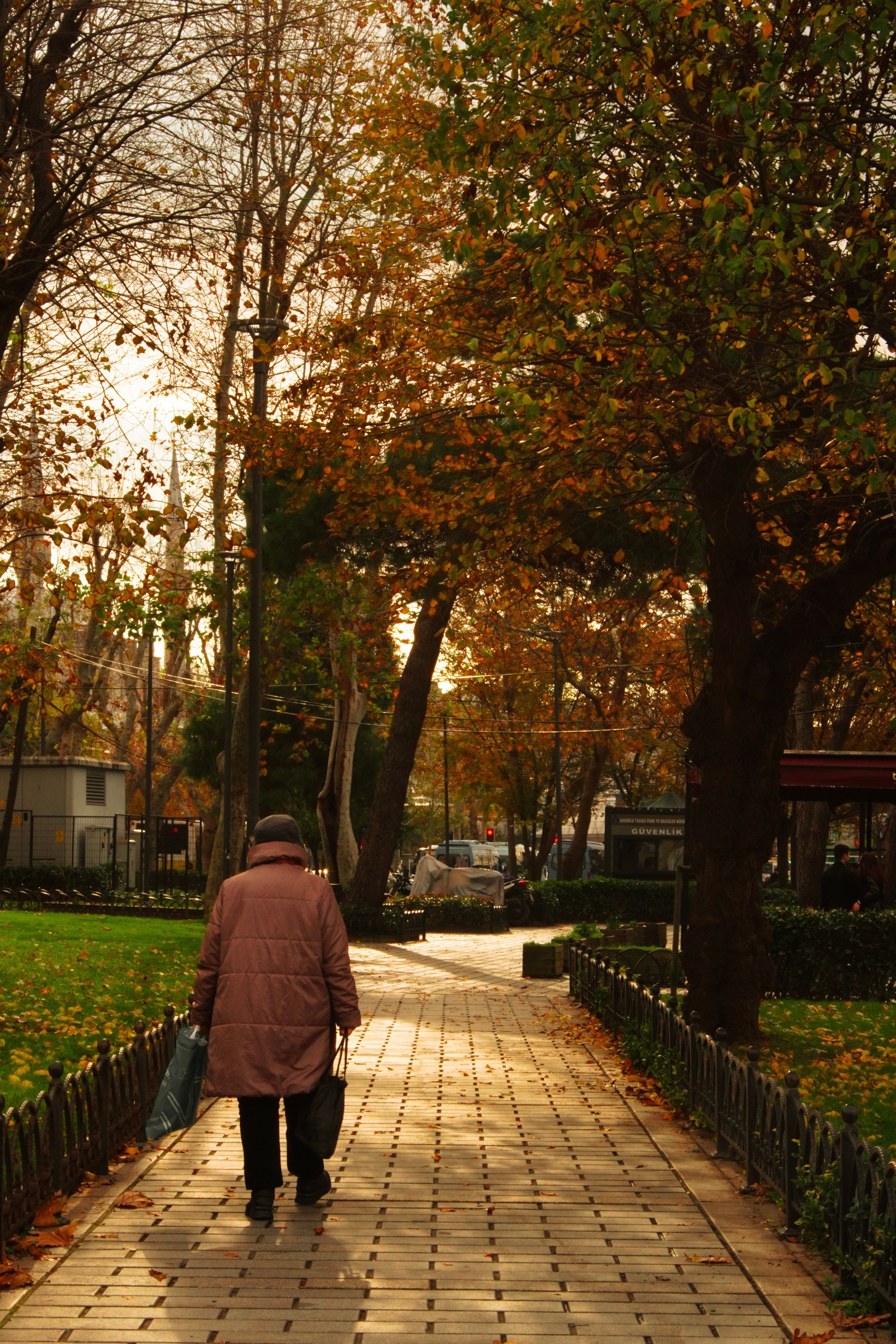 Elderly Woman Walking in Autumn Park · Free Stock Photo