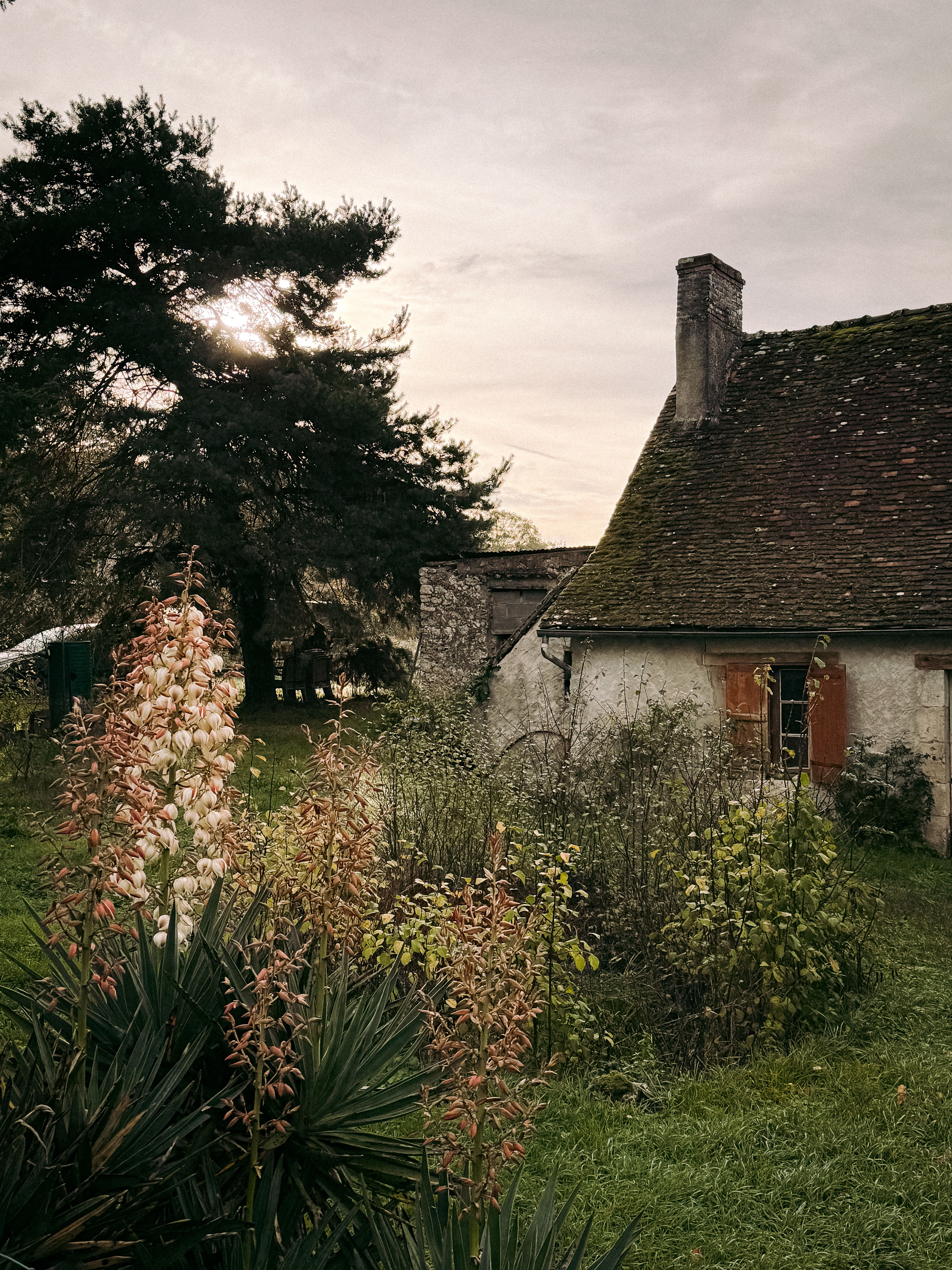 Le Gîte du Grand Jardin