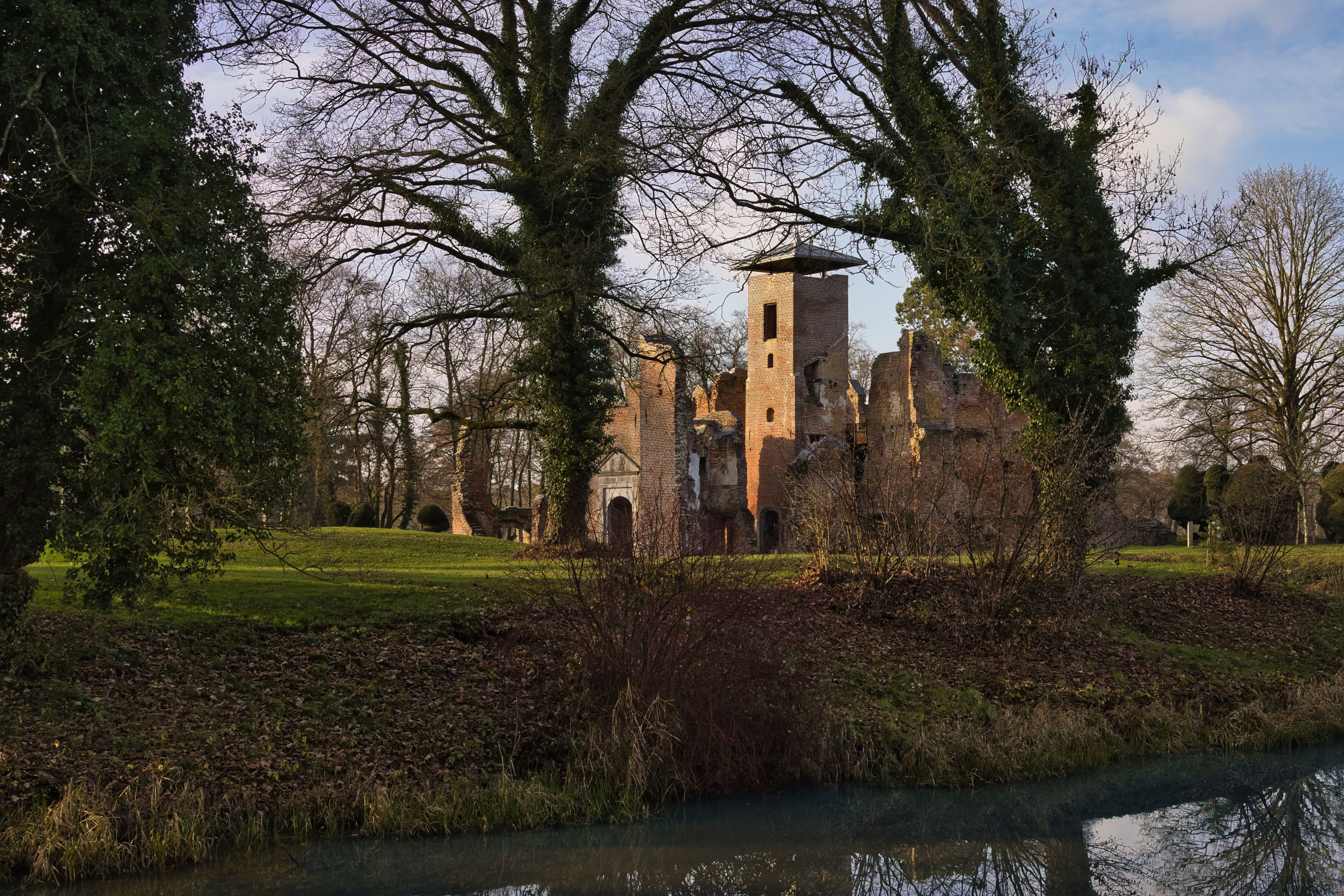 A picturesque view of a historic castle ruin surrounded by nature on a clear day.