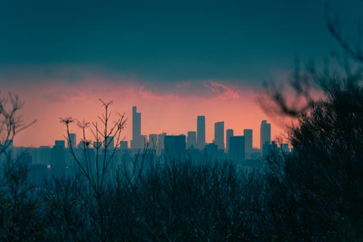 A silhouette of a city skyline with a dramatic sunset backdrop, framed by foliage.