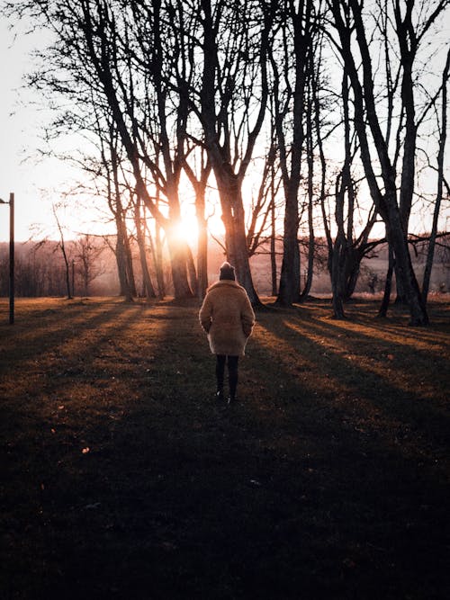 Photo of Person Standing on Grass Field During Golden Hour