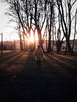日落时分，一个人独自站在树木光秃秃的公园里，感到孤独而宁静