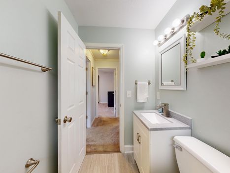 Bright and modern bathroom interior with sleek fixtures and natural decor.