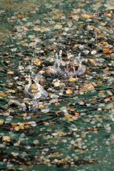 Close-up of raindrops hitting pebbles, creating ripples, captured in a serene setting.