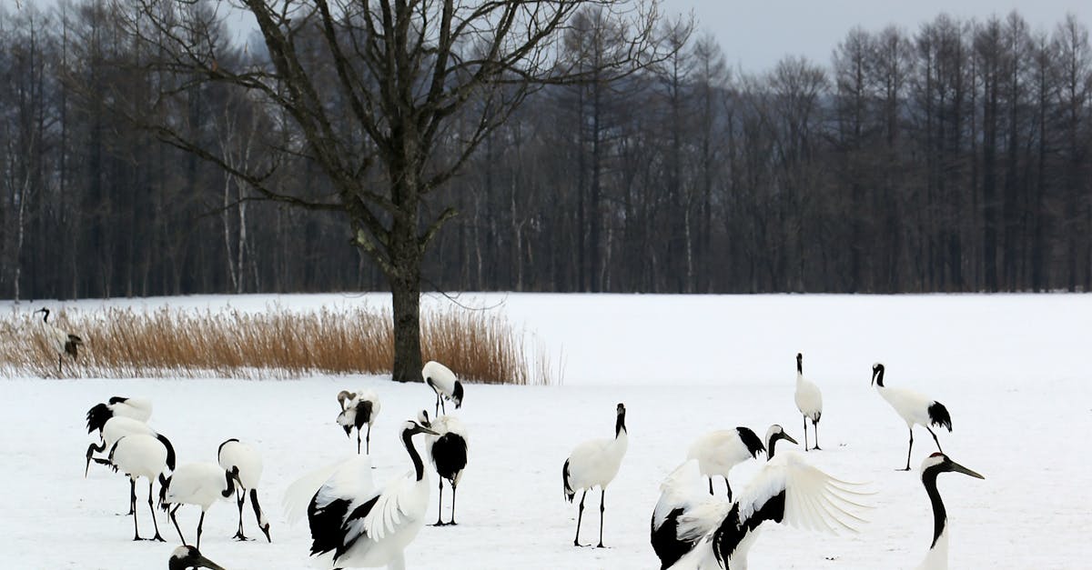 Photo by Jeffry Surianto Tradewind Group Announces CFO Transition and Strategic Shift, Signaling Growth and Adaptation