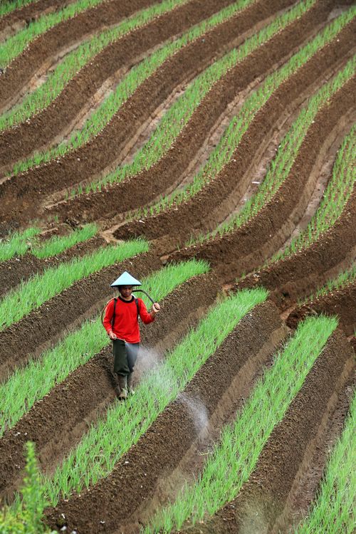 4,000+ 張最佳農耕相片· 100% 免費下載· Pexels 圖庫相片