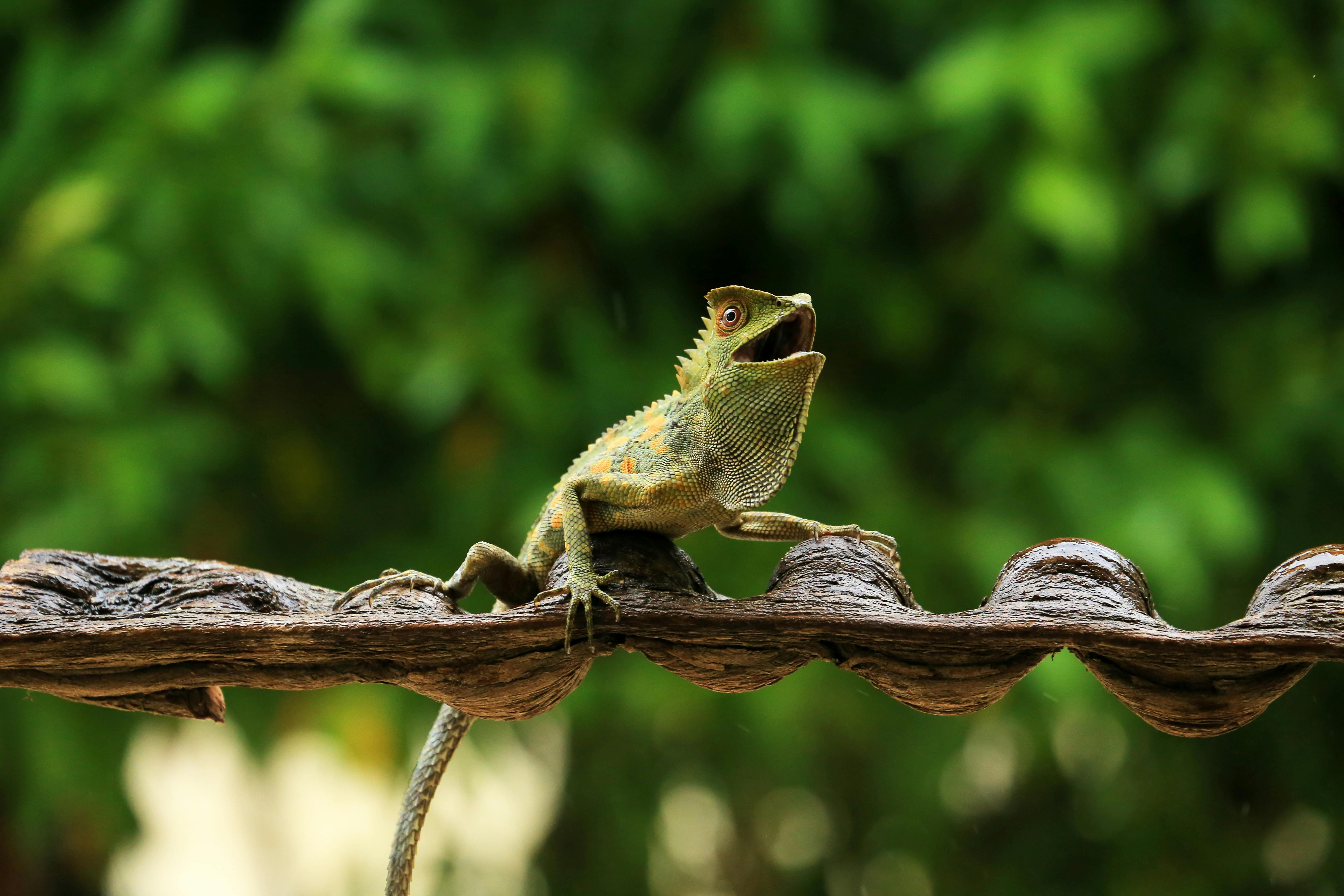柯文哲的請求遭拒，國防預算再度陷入困境