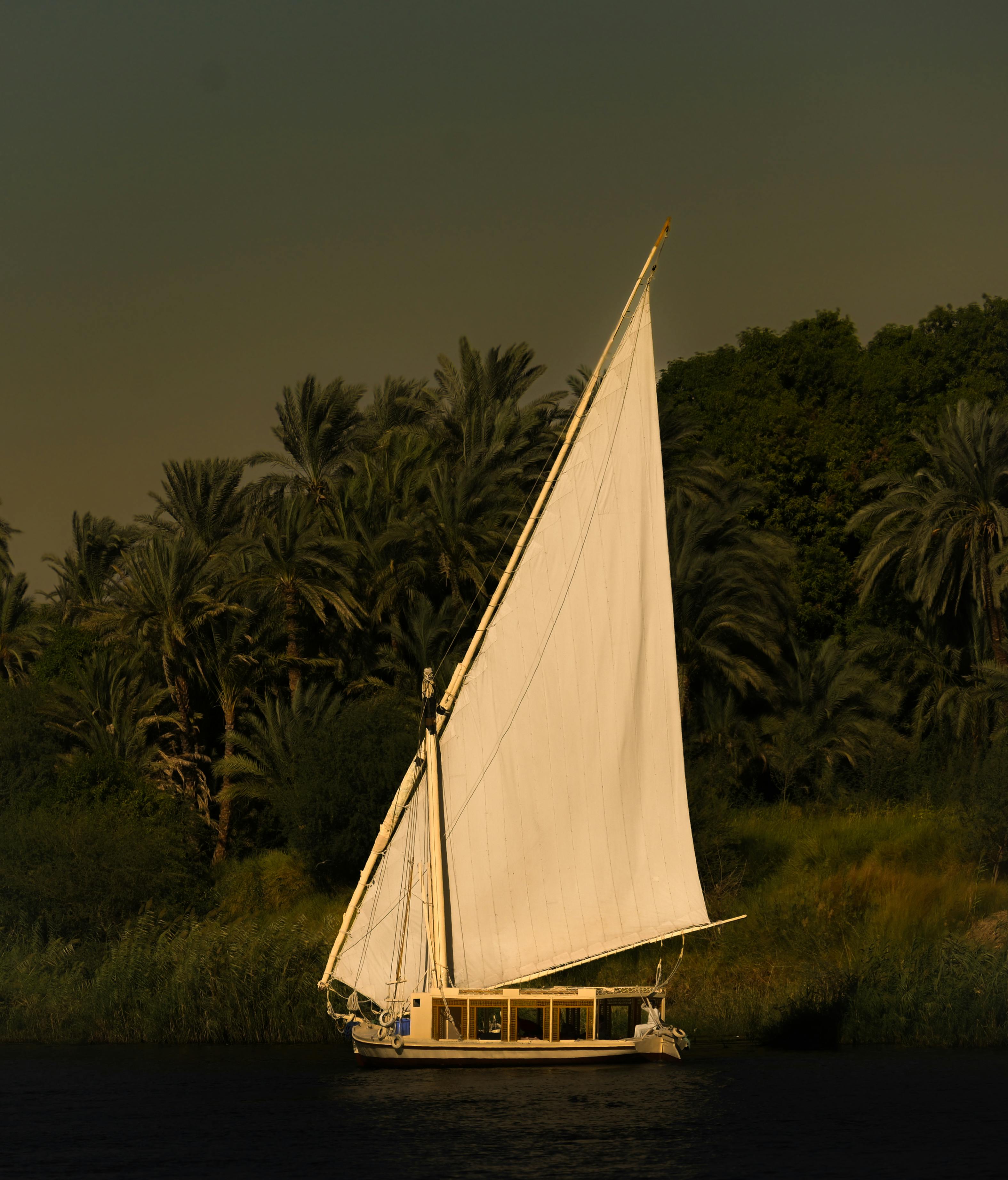 A serene scene of a traditional felucca boat sailing along the lush banks of the Nile River.