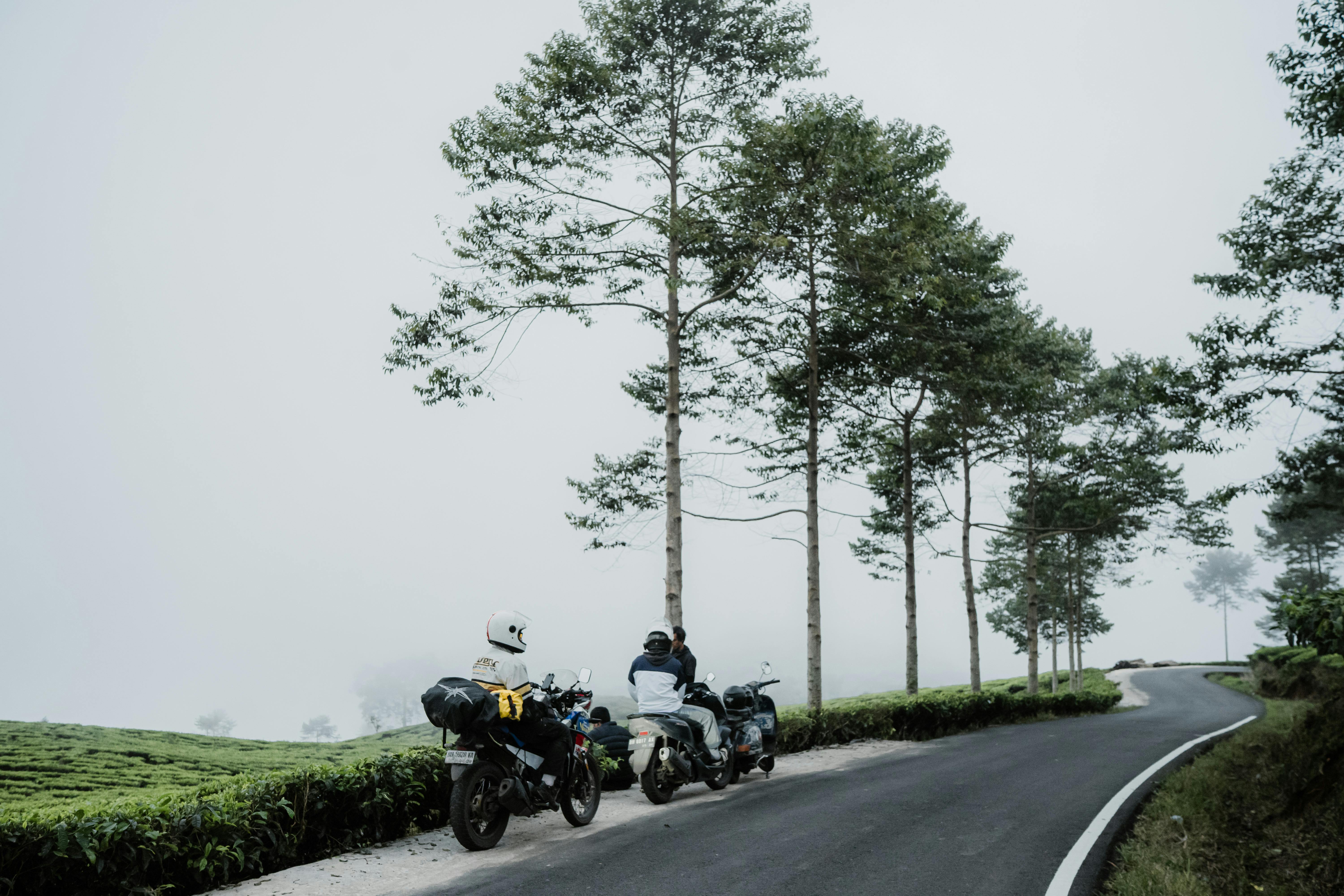 Understanding Tangents in Calculus