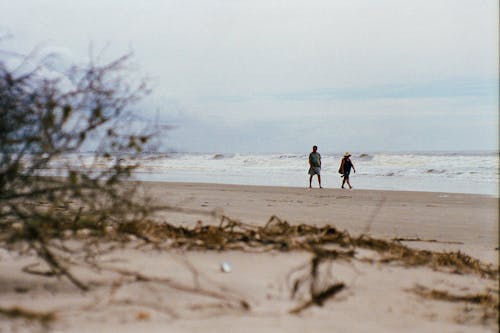 grátis Foto Em Foco Raso De Pessoa Na Praia Foto profissional
