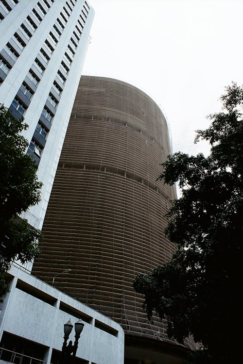 Worm View Photo of Brown Building