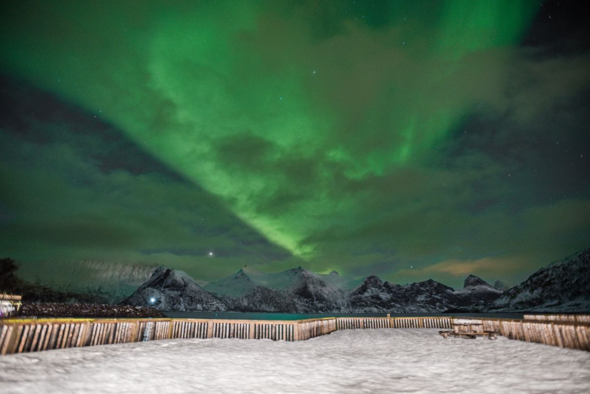 Aurora borealis over snowy mountains in Tromso Norway at night