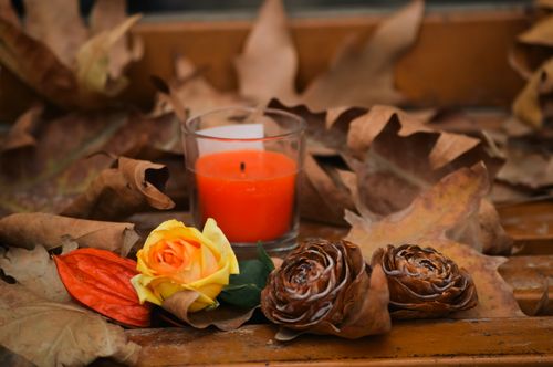 Free Autumn scene with a candle, yellow rose, and pinecones amidst fallen leaves in Srinagar. Stock Photo