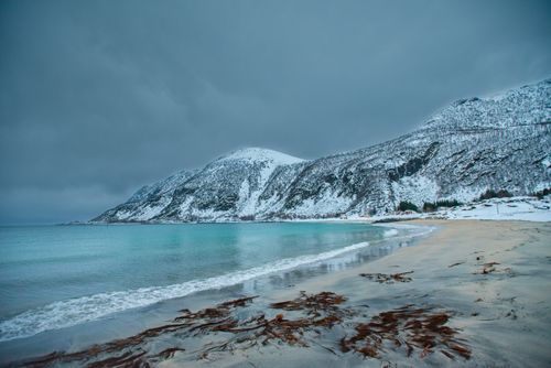 Free Winter scene of a snowy beach with mountains and teal ocean in Tromsø, Norway. Stock Photo