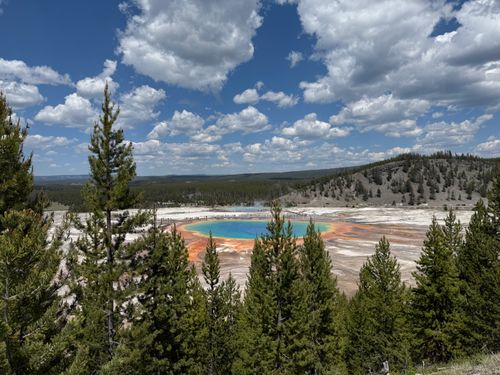 Free Stunning view of the colorful Grand Prismatic Spring in Yellowstone National Park with towering pines. Stock Photo