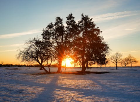 A peaceful winter sunrise with trees casting long shadows on the snow.