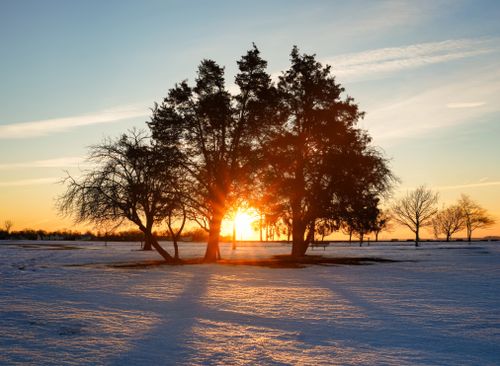 Free A peaceful winter sunrise with trees casting long shadows on the snow. Stock Photo