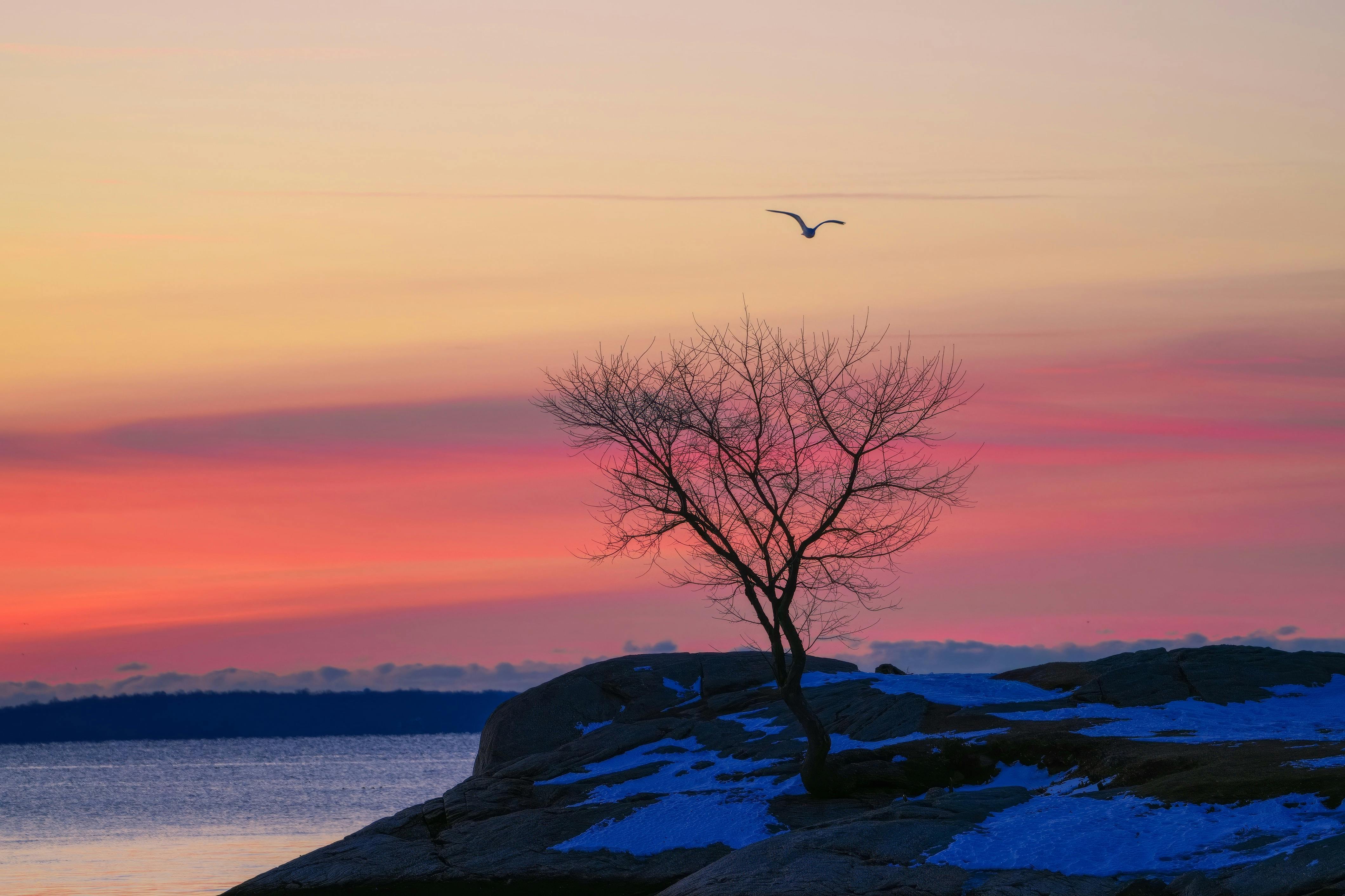 Autobiographies Inspiration