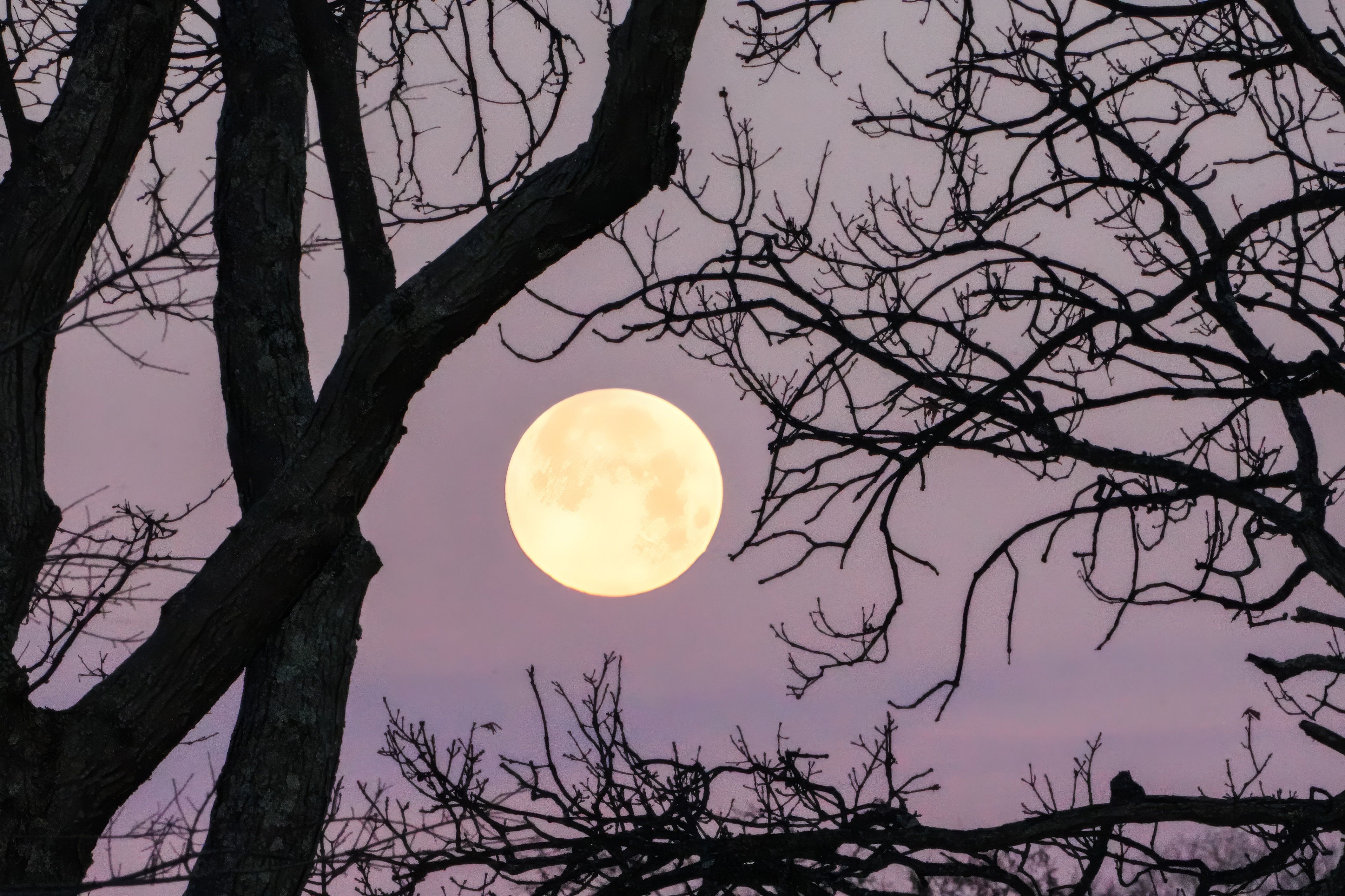 how to do full moon release rituals
