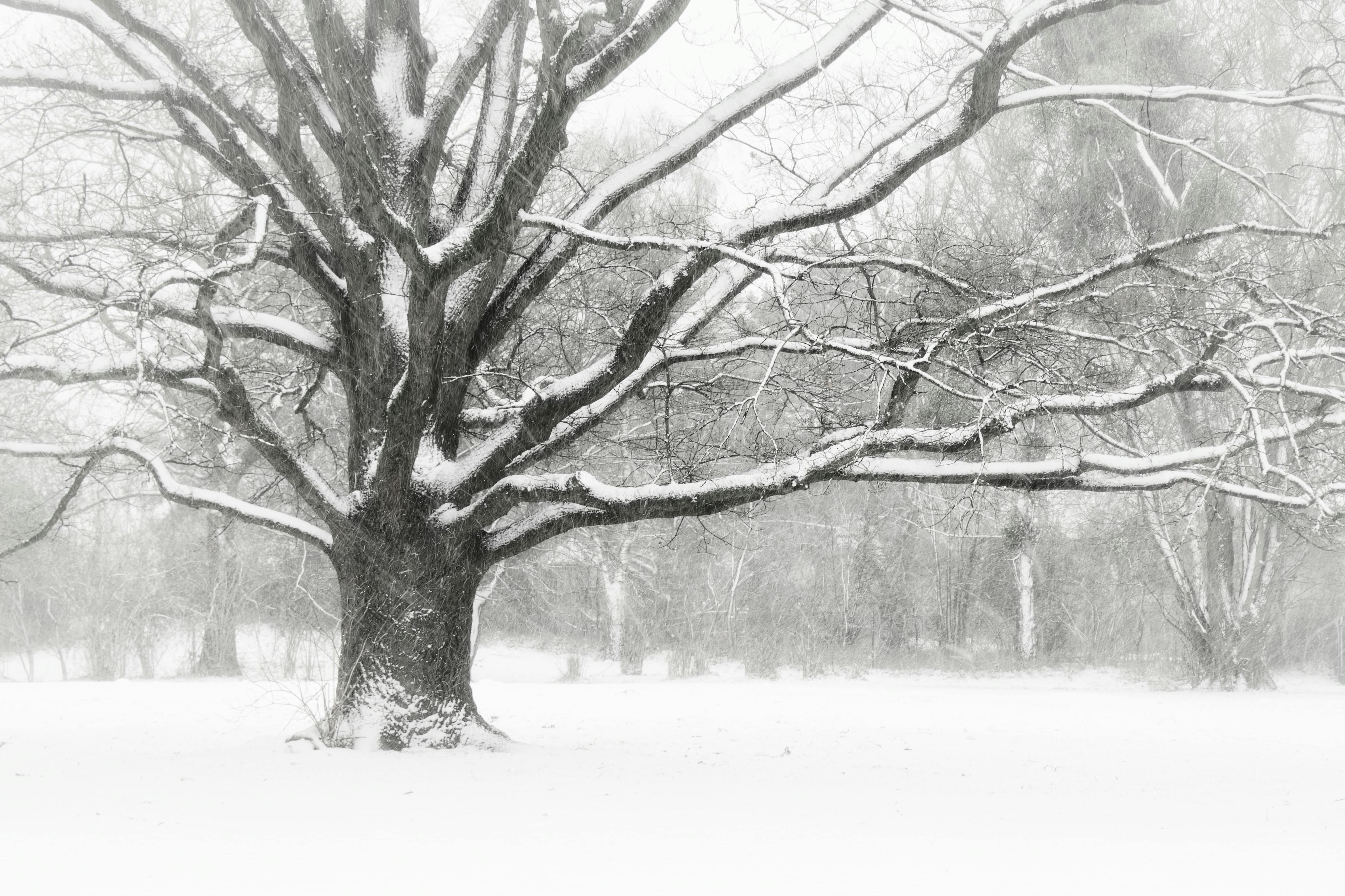 청주 불구속 수사 변호사
