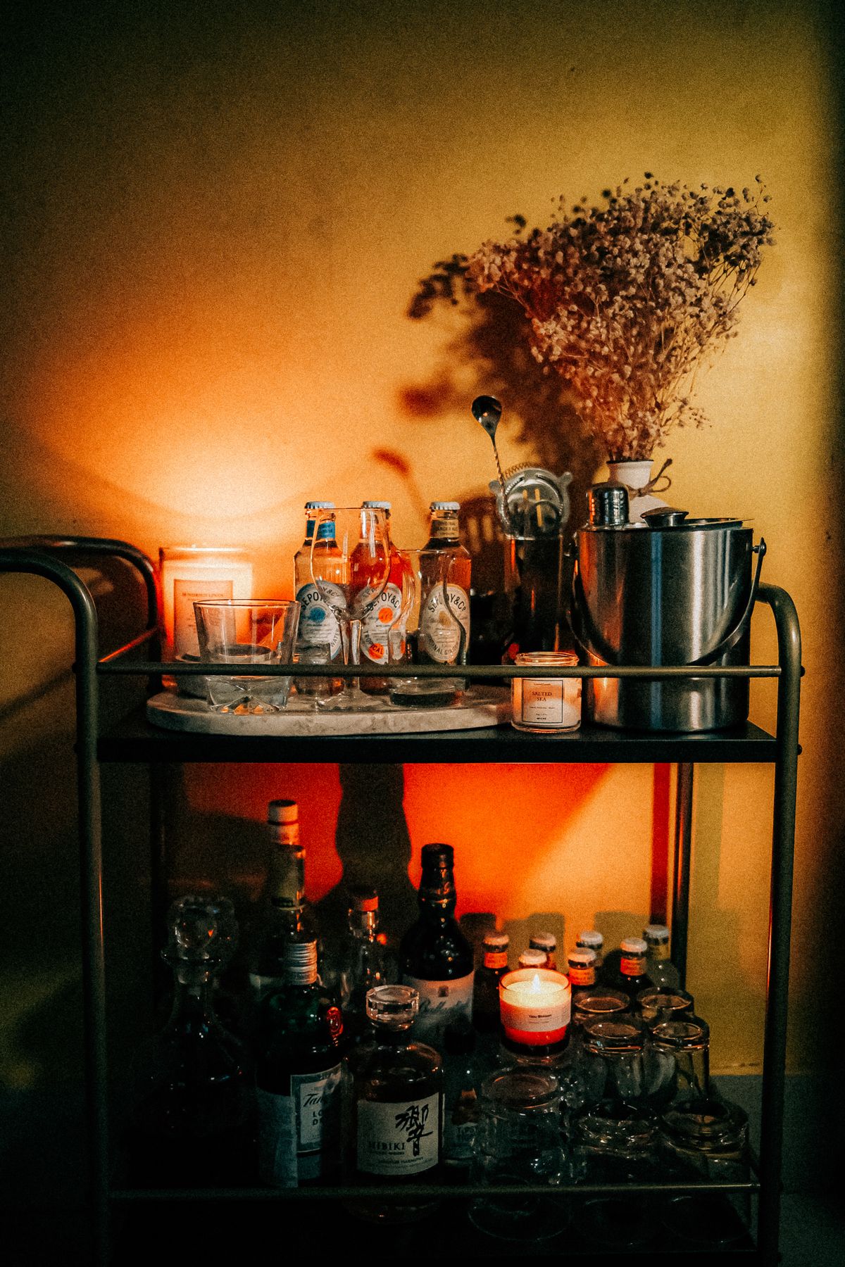 Como Montar um Bar de Gin em Casa
