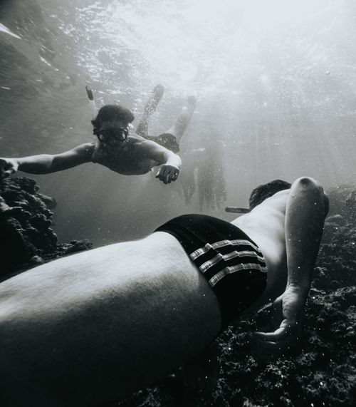 Free Black and white photo of people snorkeling underwater in Egypt, exploring marine life. Stock Photo