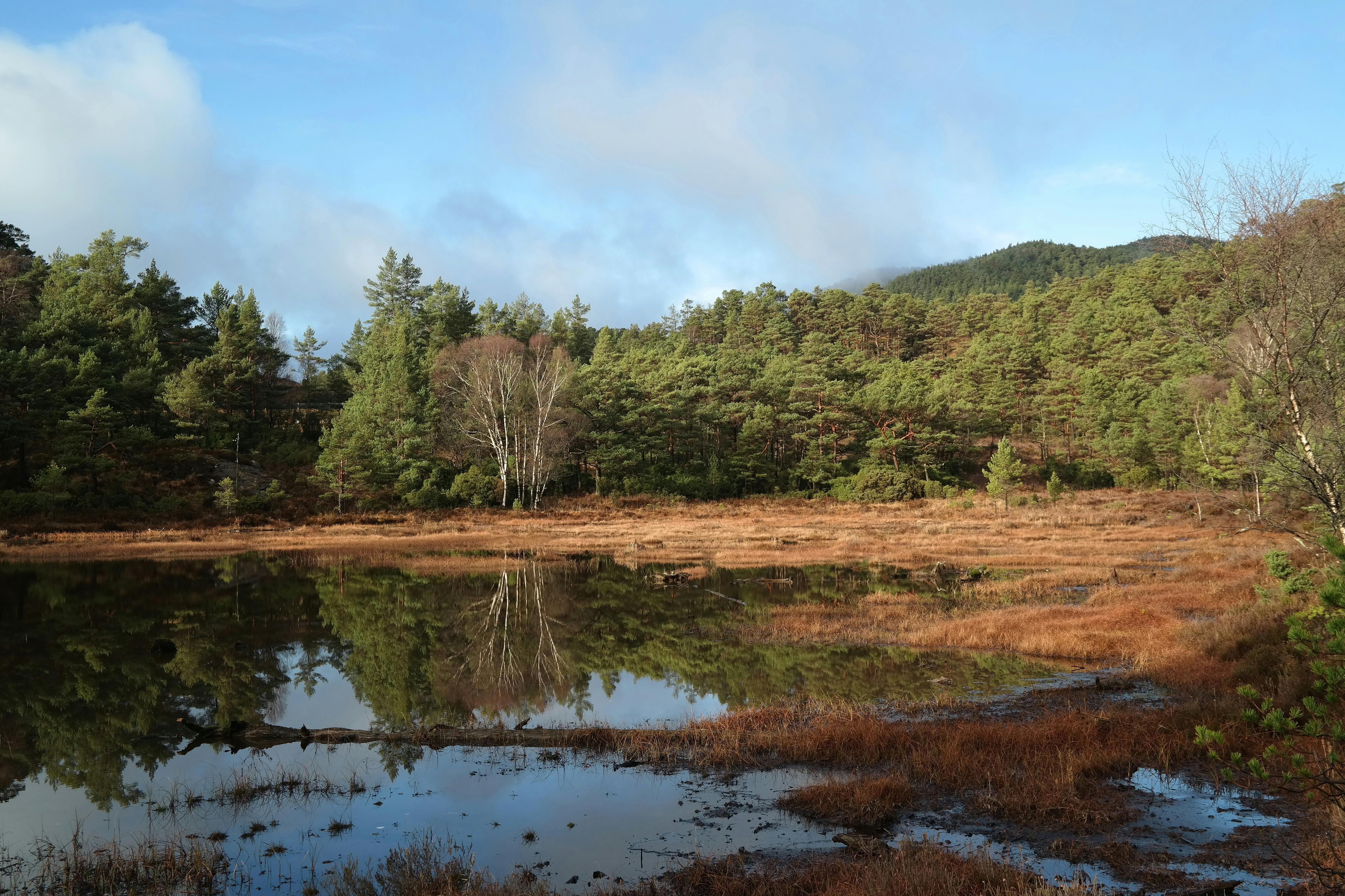 Tranquil scene of vibrant autumn forest reflected in a calm lake in Fitjar, Vestland.