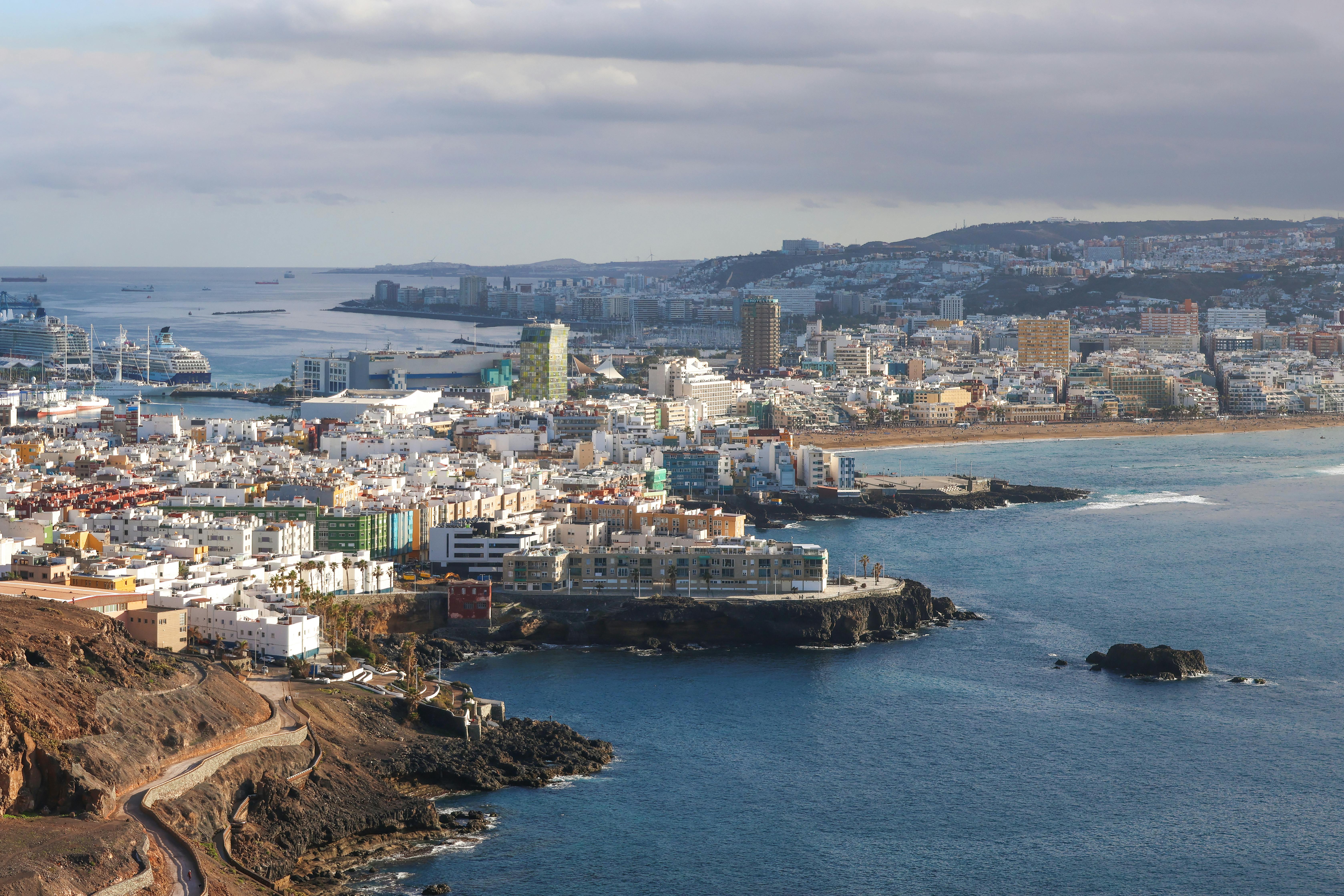 pexels photo 35509273