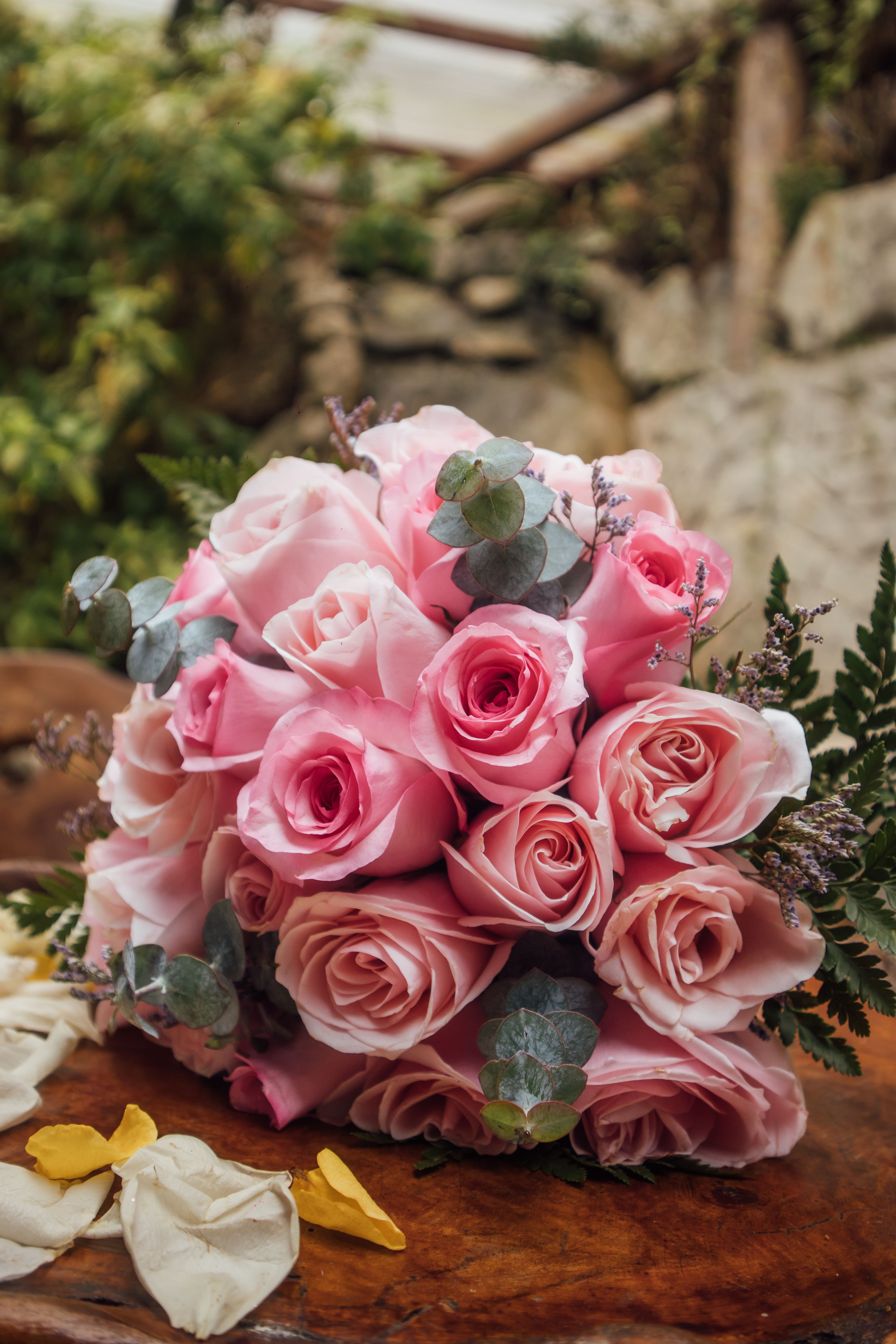 Elegant Pink Rose Bouquet in Rustic Setting · Free Stock Photo