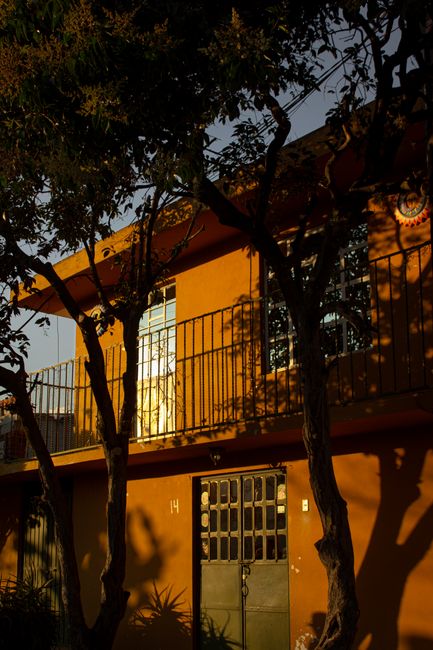 A beautiful orange house silhouetted by trees during a warm Mexican sunset.