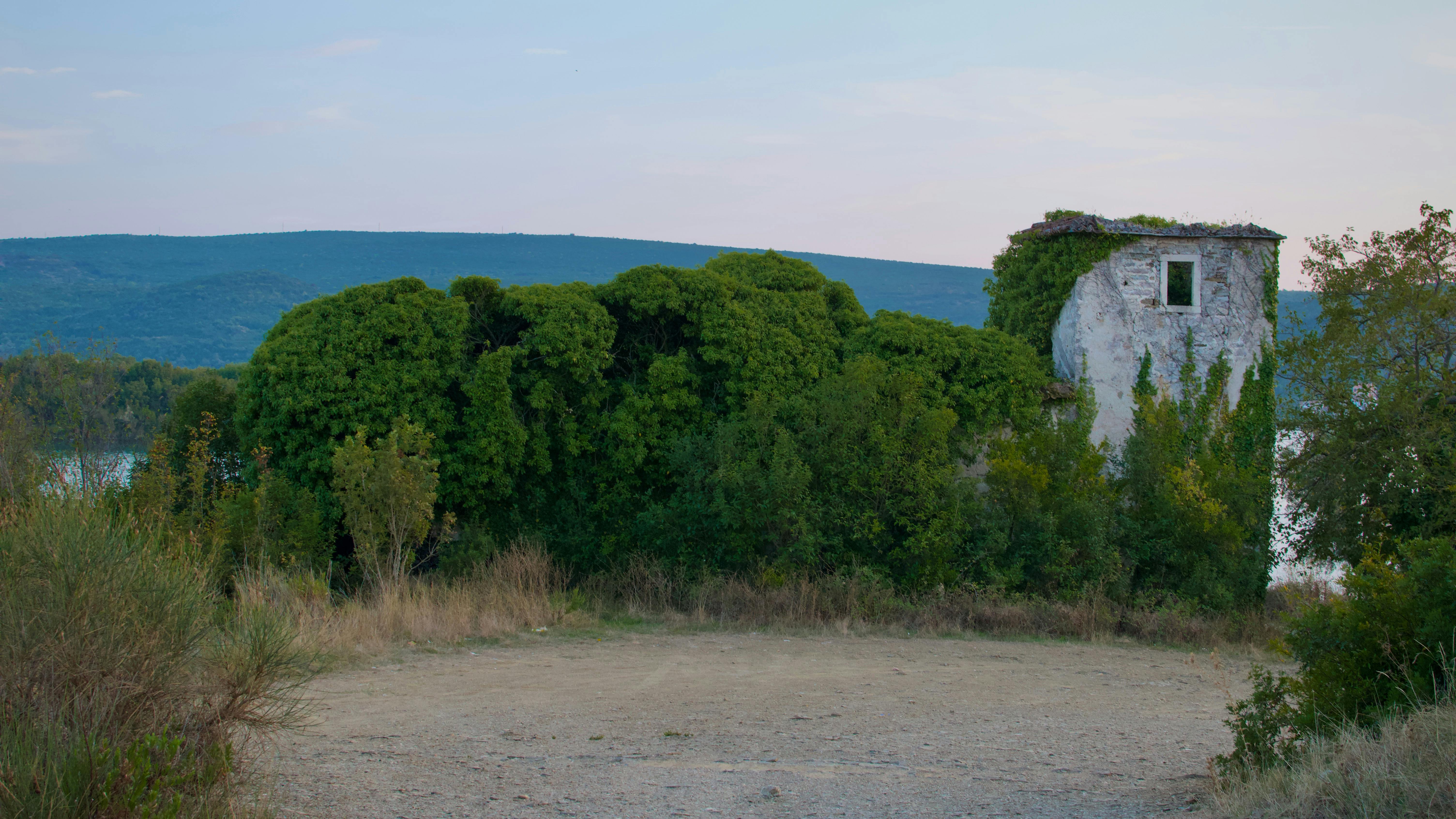 Ruins of an overgrown building surrounded by lush green foliage near a body of water.