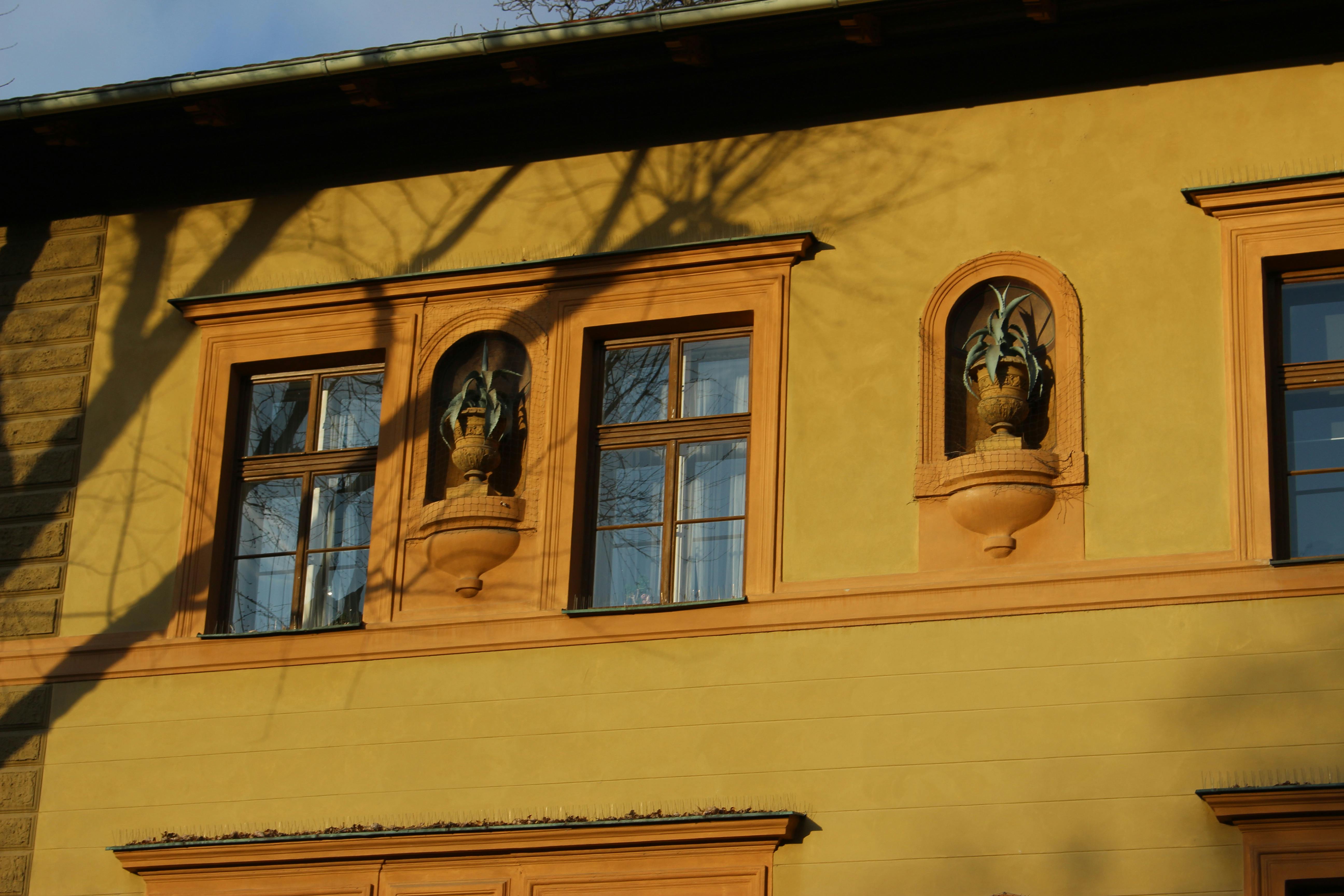 The Importance of Thorough Consultations