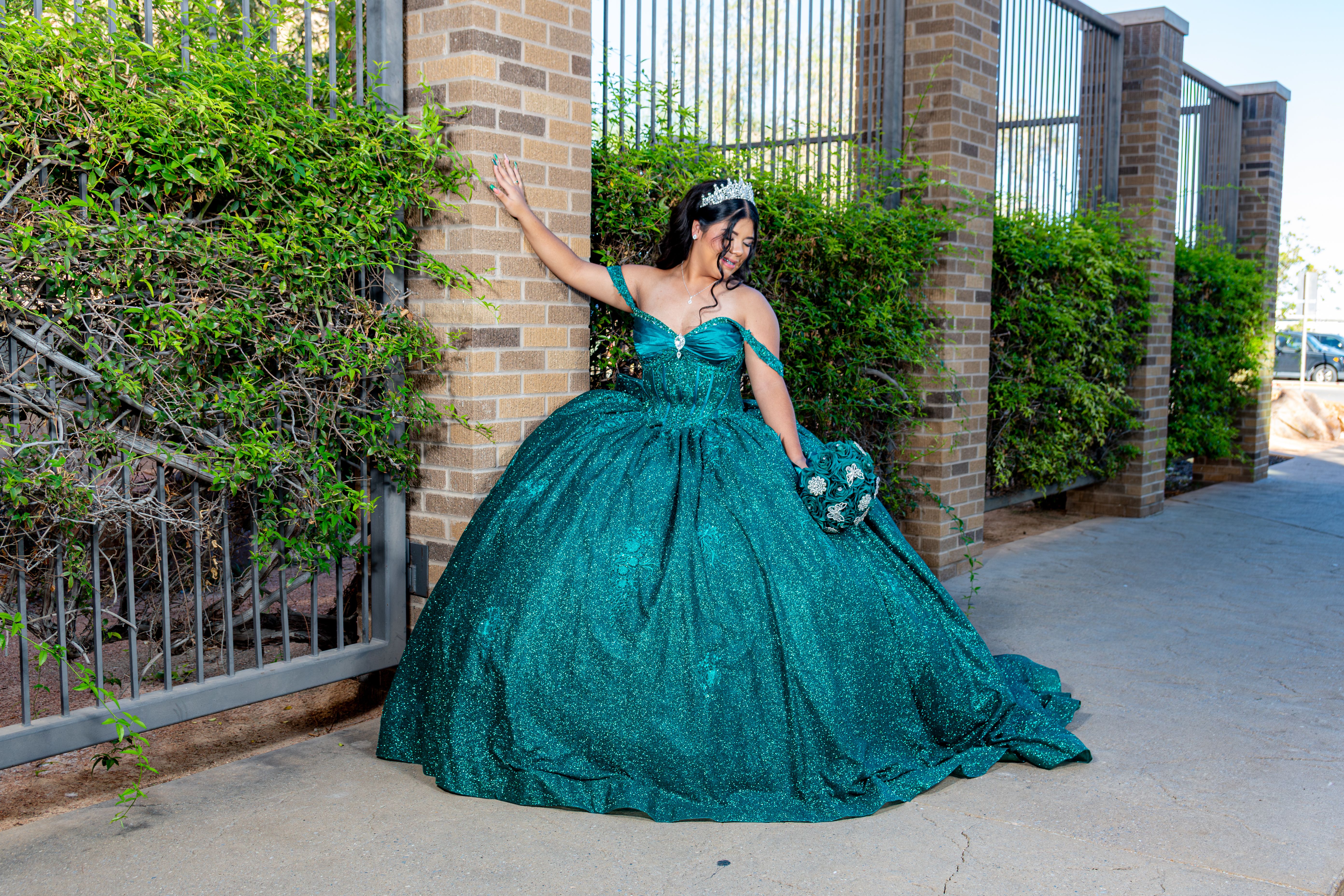 Green Dress Gown Photos, Download The BEST Free Green Dress Gown Stock  Photos & HD Images