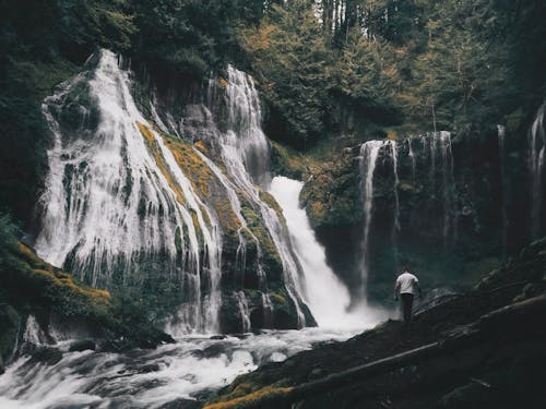 Man in White Shirt on Black Rock in Front of Waterfalls