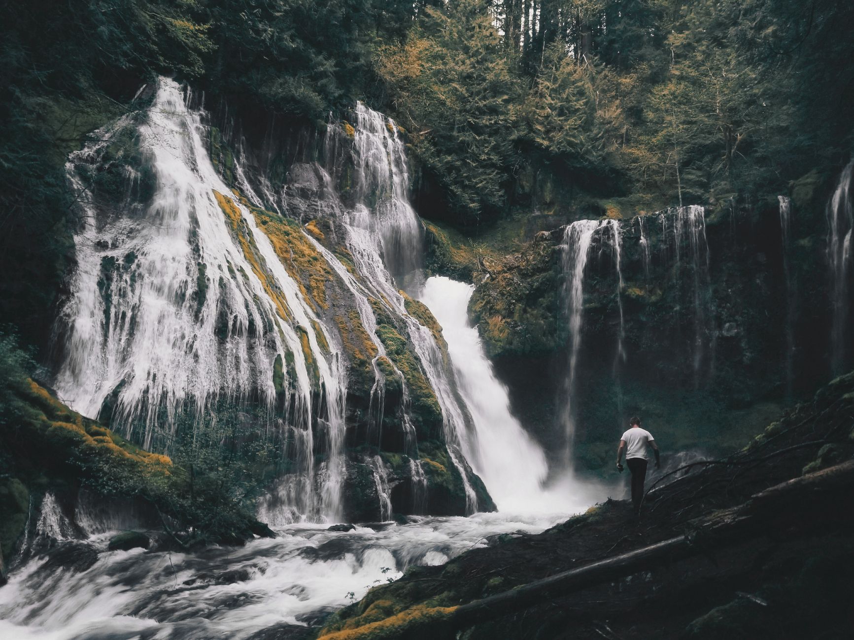 A man stands near a cascading waterfall surrounded by lush forest foliage.