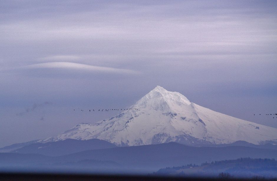 High mountain top covered with snow and flock of birds flying over highlands in cloudy day