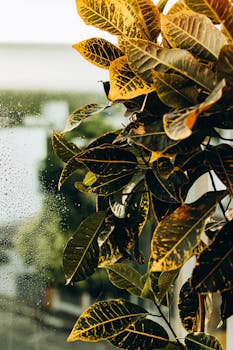 Vibrant leaves with raindrops against a blurred background, creating a natural and serene ambience.