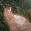 Empty felled area among evergreen forest