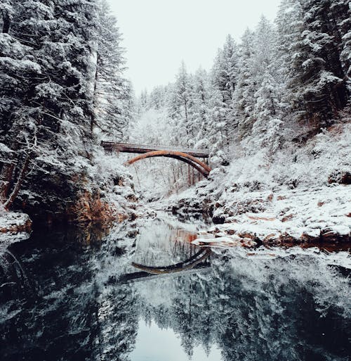 Ponte Coperto Di Neve