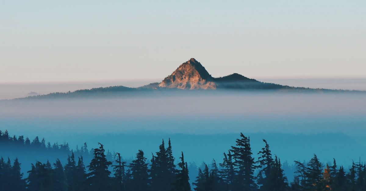 ¿Dónde ver niebla y bosques nubosos en zonas altas de El Salvador? ¿Dónde ver niebla y bosques nubosos en zonas altas de El Salvador?
