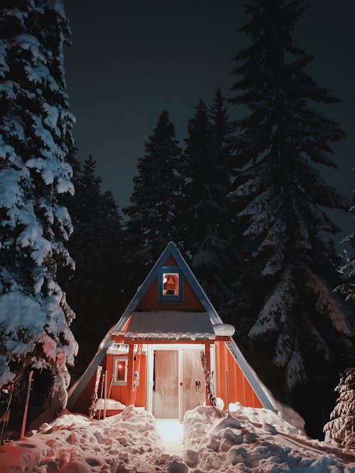 Kostenlos Braunes Holzhaus In Der Mitte Des Waldes Während Der Nachtzeit Stock-Foto
