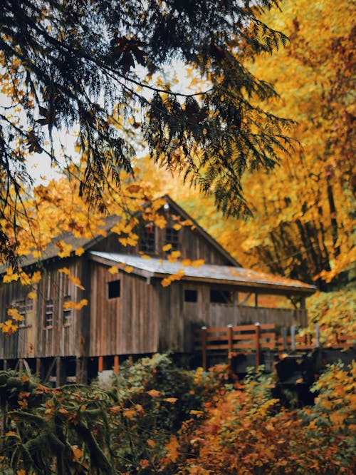 Rural wooden house in autumnal forest