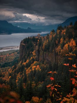 秋日山景令人惊叹，河流在布满云彩的天空下流淌，两岸是充满活力的叶子