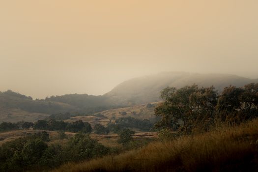 sunrise hills